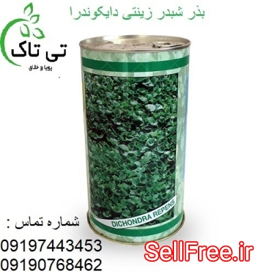 خرید وقیمت بذر چمن دایکوندرا افریقایی ،تی تاک 09199762163